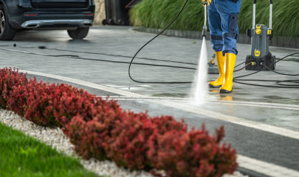 Best Driveway Pressure Washing  in Waverly, MI